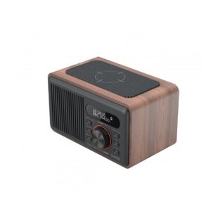 CARNEO W100 Rádio DAB+, FM, BT, Wireless charging, wood